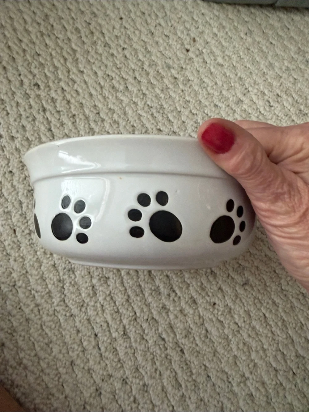 White Ceramic Dog Bowl with Black Polka Dots and Paw Print